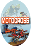 Motocross Oval Insert [OV-1912]