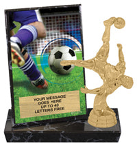 Soccer Billboard Plaque [PBB6-SC]
