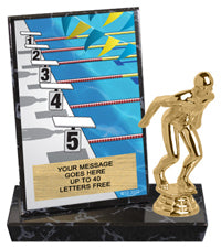 Swimming Billboard Plaque [PBB6-SW]