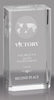 Crystal Beveled Global Award - 4.5 inch [CGBEV-M-X]
