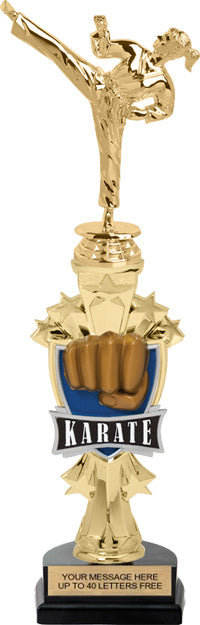 Martial Arts Shooting Star Sport Riser Trophy [TMSSTR14-MA]