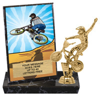 Bicycling Billboard Plaque [PBB6-BMX]