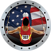 Gymnastics - Male USA Flag Insert [TD-4013]