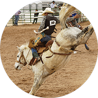 Rodeo - Bucking Horse Insert [TD-3888]