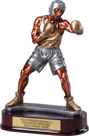 Golden Glove Boxing Resin Trophy [RM24BX-9]