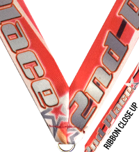 7/8 x 30 in. 2nd Place Sublimated Neck Ribbon [NKRB-4070]