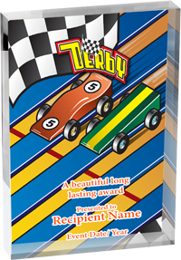 Derby Vibrix Acrylic Award [A46BV-PNWD]