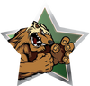 Mascots- Wolverines Star Insert [ST-2478]