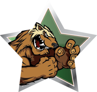 Mascots- Wolverines Star Insert [ST-2478]