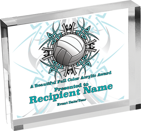 Volleyball Horizontal Vibrix Acrylic Award [A43BH-VB]
