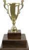 Gold Metal Cup Twin Tier Perpetual Trophy [TPP2L-GCP]