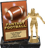Fantasy Football Billboard Plaque [PBB6-FFB]