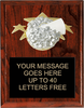 Cheer Triple Star Plaque [PTS68-CH]