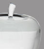 Teachers Pet Crystal Apple Award - 4.75 inch [CALP-5-X]