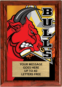 Full Color Plaques [PFCSTK5-MSCT]