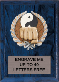 Martial Arts Millennium Color Plaques