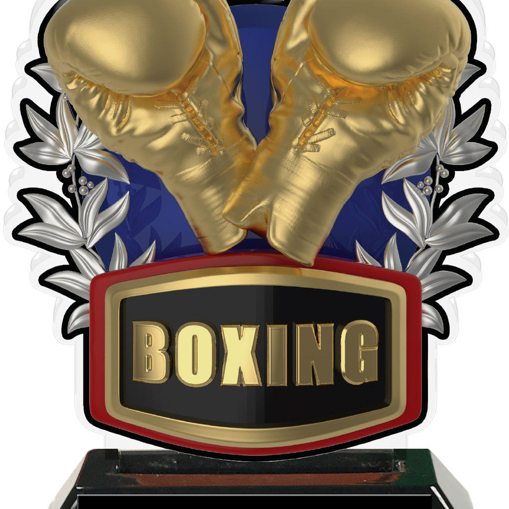 Metallic Boxing Gloves Colorix-T Acrylic Trophies