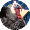 Thanksgiving/Holidays - Turkey Insert [TD-3390]