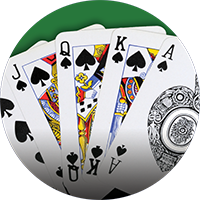 Card Games - Cards Generic Insert [TD-3263]