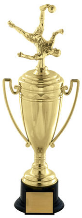 Gold Plastic Cup [TCF98]