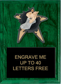 Track Spring Loaded Plaque [PRBI79-TK]