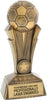 Soccer Champion Award - 7.5 inch [CJ101-SC-7]