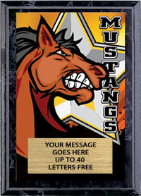 Full Color Plaques [PFCSTK5-MSCT]