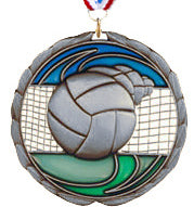 Volleyball Epoxy Color Medal - Silver [MEC2-VB-S]