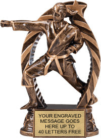 Martial Arts Female Star Flame Resin Trophies