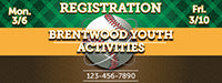 Baseball 4 x 10 Vinyl Banner- Field [VB-BS-FLD-410]