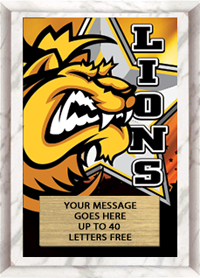 Full Color Plaques [PFCSTK5-MSCT]