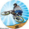 BMX Insert [TD-1419]
