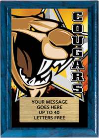 Full Color Plaques [PFCSTK5-MSCT]