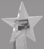 Crystal Ascending Star - 10.25 inch [CHJ550-10-X]