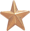 Gold Star Pin [PCM-STR-107G]