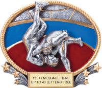 Wrestling 3D Full Color Oval Resin Trophy [R3DOM8-WS]