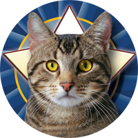 Cats- American Shorthair Insert [TD-2482]