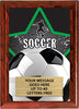 Soccer Full Color Star Plaque [PEDG5-SC]