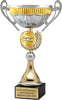 Two-Tone Silver and Gold Insert Trophy Cup [CMM-49C-10]
