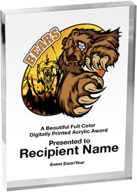 Mascots Vibrix Acrylic Award [A57BV-MSCT]