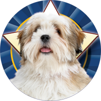 Dogs- Lhasa Apso Insert [TD-2527]