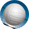 Volleyball Insert [TD-1047]