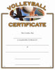 Sport Certificates: Volleyball [SCTVB]