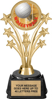 Shooting Stars Color Insert Trophy on Synthetic Regal Base [TRGi-J58]