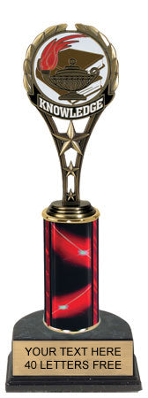Knowledge Painted Metal Sport Theme Trophy [PMT9-KN]