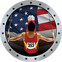 Gymnastics Male Insert [BTD-4013]