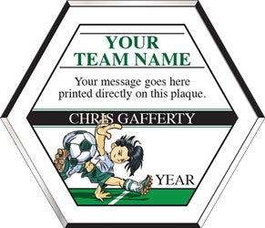 Color Hexagon Soccer Plaques