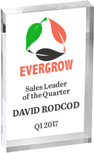 Custom Vibrix Acrylic Award - 3x5 inch [AX35BV]