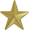 Star Chenille Pin- Gold [PCH-09G]