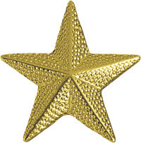 Star Chenille Pin- Gold [PCH-09G]